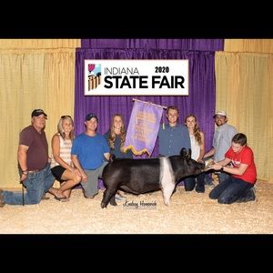 Meet your Posher, Conner